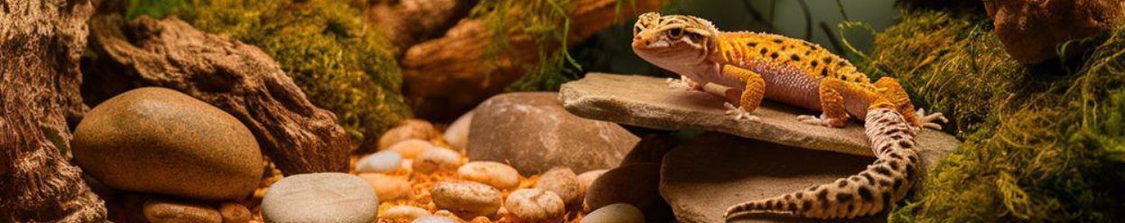 Plechové lampy pro teraristiku